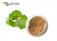 Ginkgo Biloba-Extrakt-Pulver