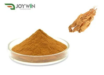 Sibirischer Ginseng-Extrakt-Pulver