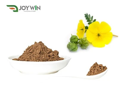 Tribulus Terrestris-Pulver